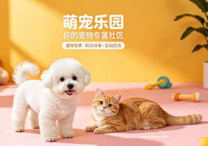 宠物网站源码